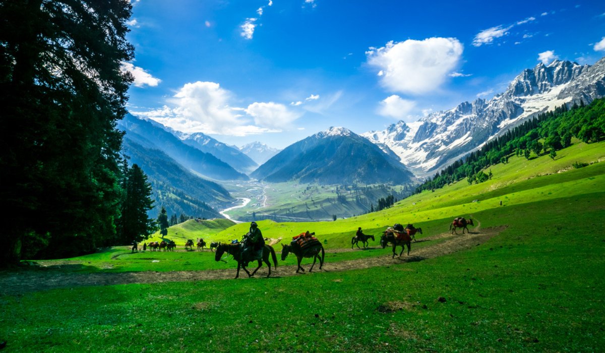 mountains, hiking, horse back